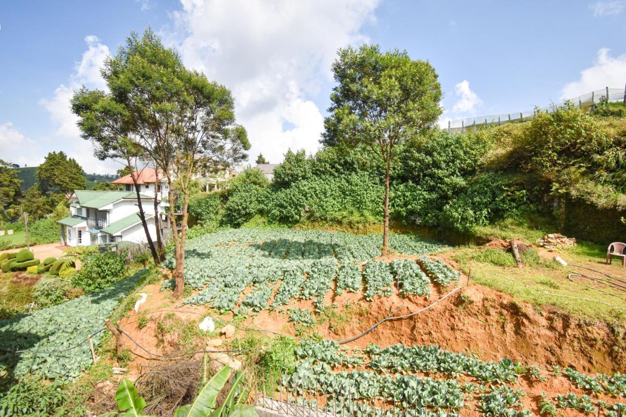 St. Anne Holiday Bunglow Nuwara Eliya Zewnętrze zdjęcie